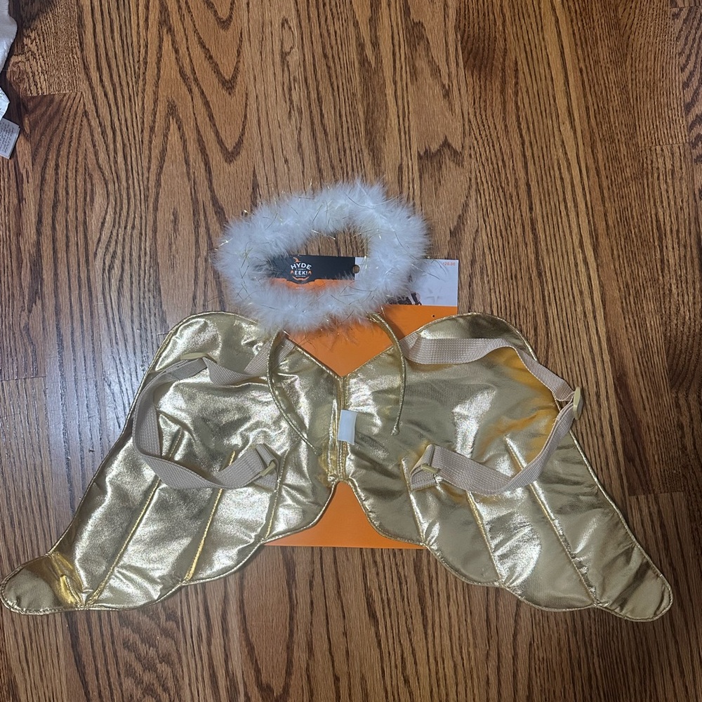 Gold Angel Wings and Halo Set